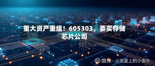 重大资产重组！605303，要买存储芯片公司-第2张图片