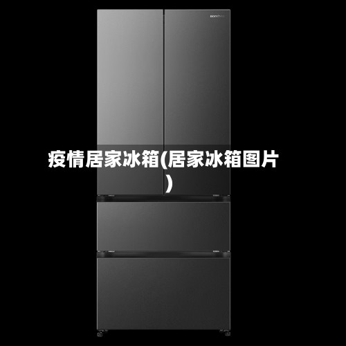 疫情居家冰箱(居家冰箱图片)