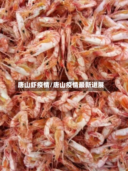唐山虾疫情/唐山疫情最新进展