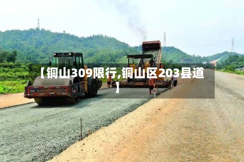 【铜山309限行,铜山区203县道】