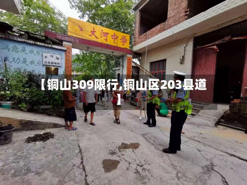 【铜山309限行,铜山区203县道】-第2张图片
