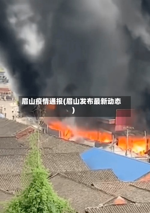 眉山疫情通报(眉山发布最新动态)-第2张图片