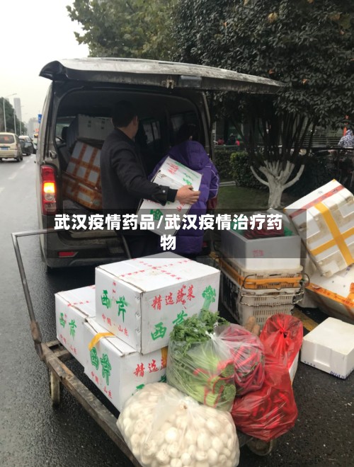 武汉疫情药品/武汉疫情治疗药物