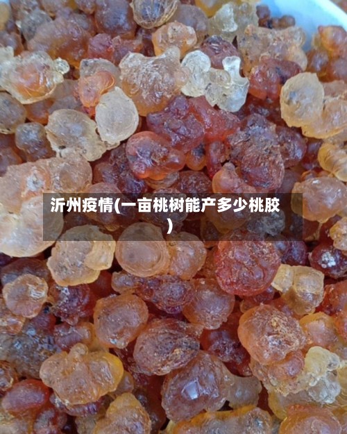沂州疫情(一亩桃树能产多少桃胶)-第2张图片