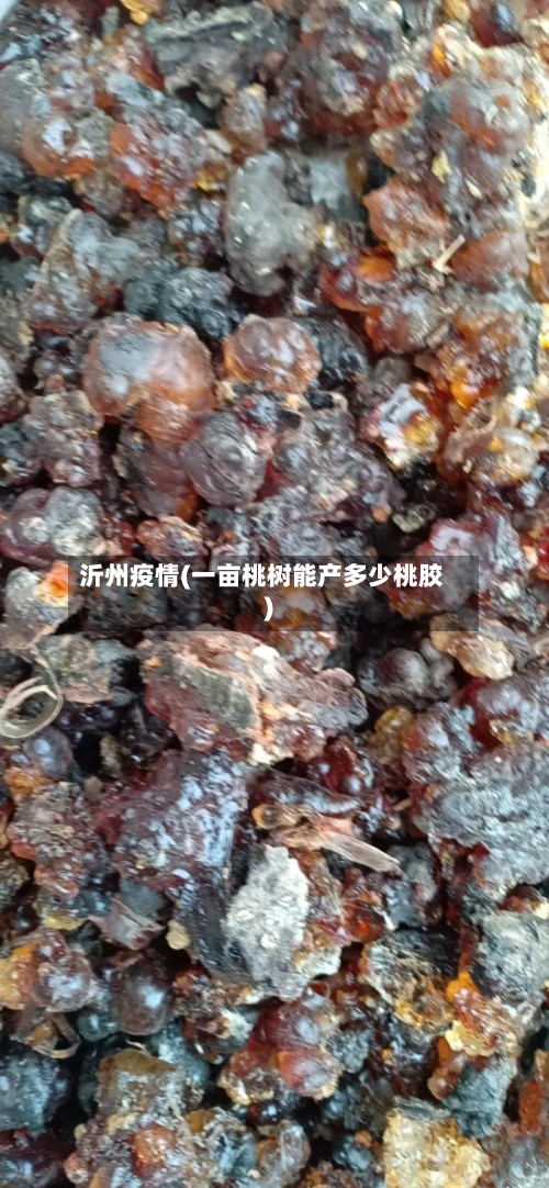 沂州疫情(一亩桃树能产多少桃胶)-第3张图片