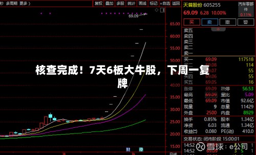 核查完成！7天6板大牛股，下周一复牌