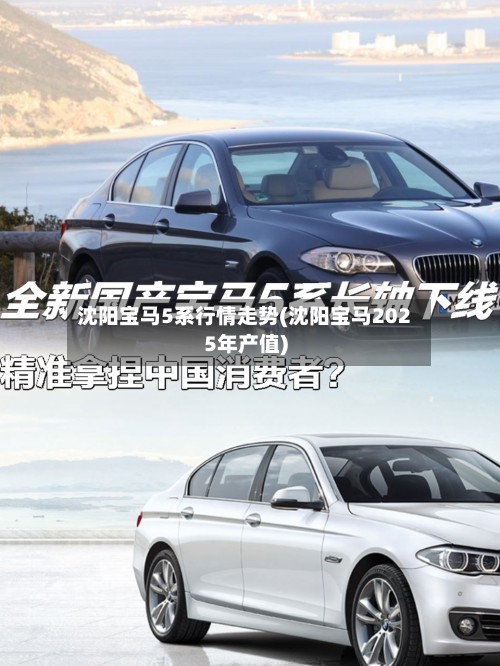 沈阳宝马5系行情走势(沈阳宝马2025年产值)-第2张图片
