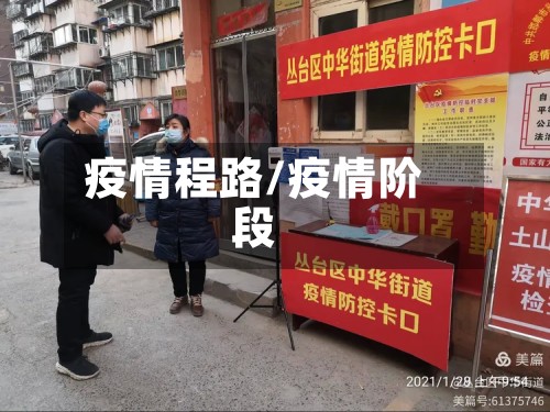 疫情程路/疫情阶段