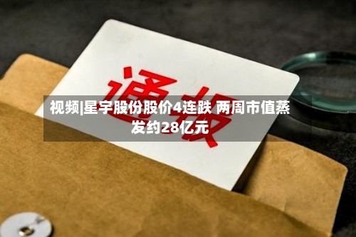 视频|星宇股份股价4连跌 两周市值蒸发约28亿元