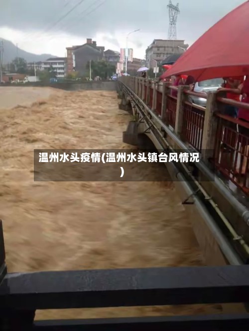 温州水头疫情(温州水头镇台风情况)-第2张图片