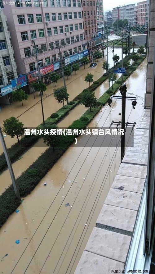 温州水头疫情(温州水头镇台风情况)