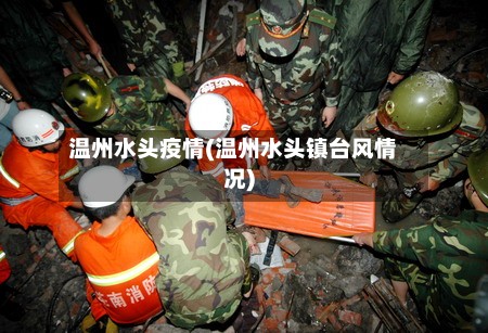 温州水头疫情(温州水头镇台风情况)-第3张图片