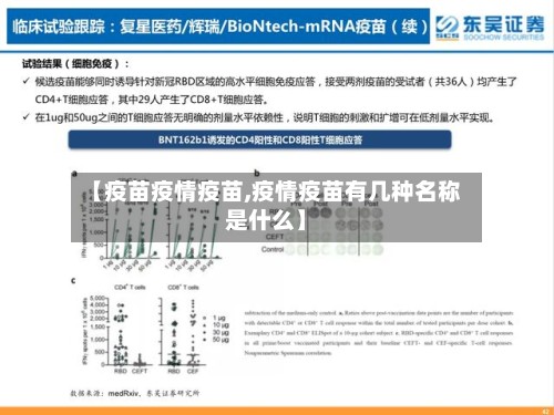 【疫苗疫情疫苗,疫情疫苗有几种名称是什么】-第2张图片