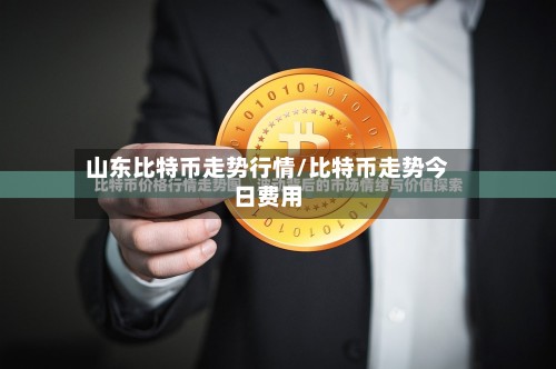 山东比特币走势行情/比特币走势今日费用-第3张图片