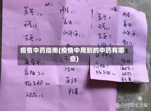 疫情中药指南(疫情中用到的中药有哪些)