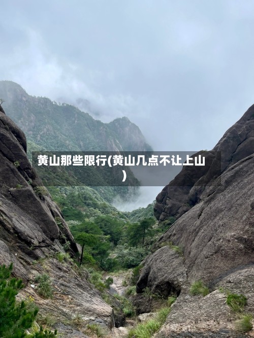 黄山那些限行(黄山几点不让上山)-第2张图片