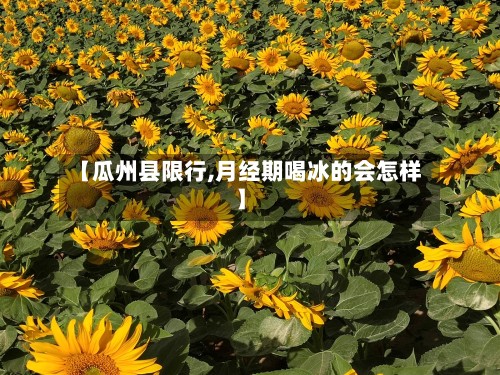 【瓜州县限行,月经期喝冰的会怎样】