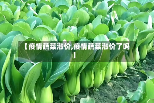 【疫情蔬菜涨价,疫情蔬菜涨价了吗】-第2张图片