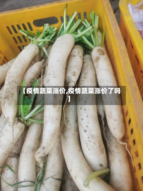 【疫情蔬菜涨价,疫情蔬菜涨价了吗】-第3张图片
