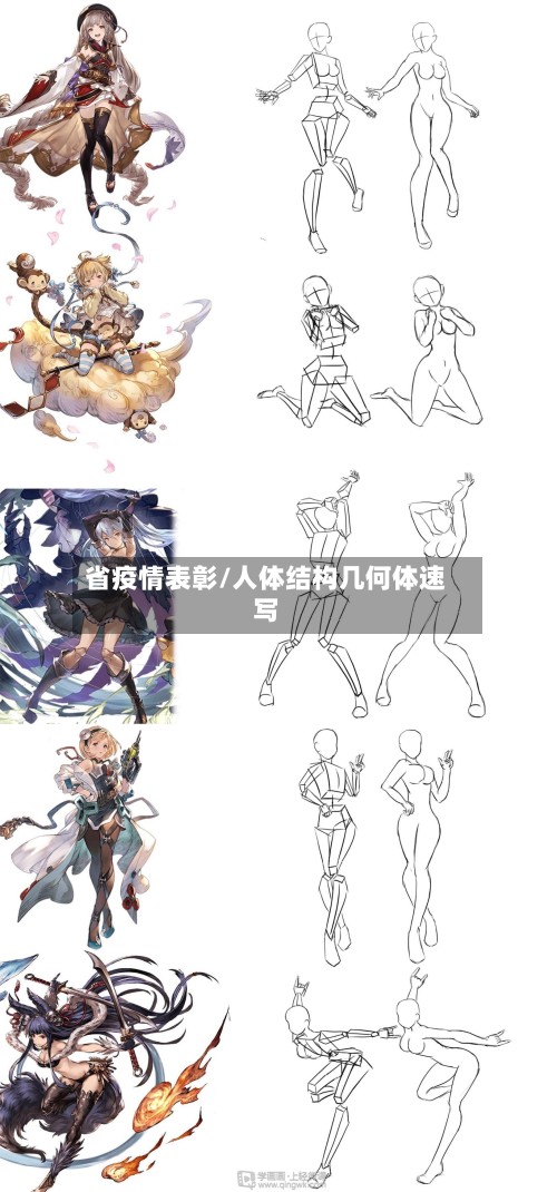 省疫情表彰/人体结构几何体速写-第2张图片