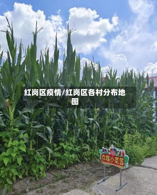红岗区疫情/红岗区各村分布地图