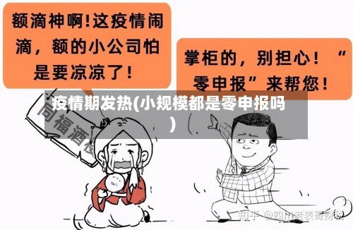 疫情期发热(小规模都是零申报吗)