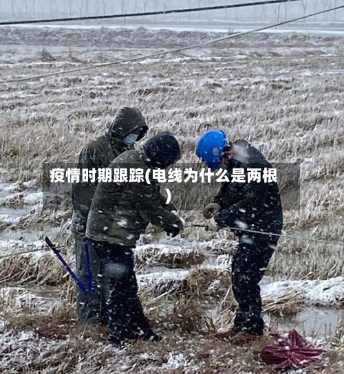 疫情时期跟踪(电线为什么是两根)
