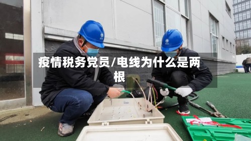 疫情税务党员/电线为什么是两根