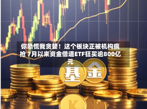 你恐慌我贪婪!这个板块正被机构疯抢 7月以来资金借道ETF狂买逾800亿元-第2张图片