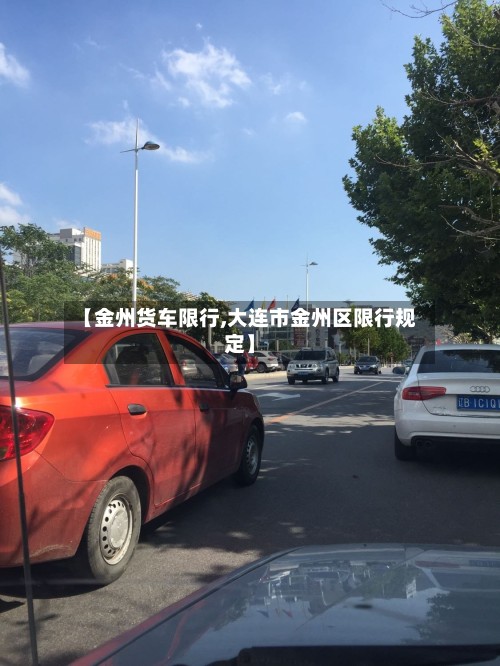 【金州货车限行,大连市金州区限行规定】