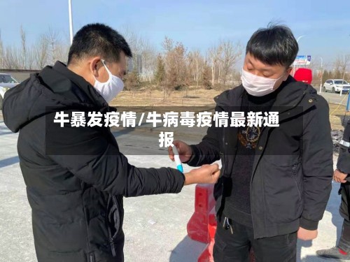牛暴发疫情/牛病毒疫情最新通报