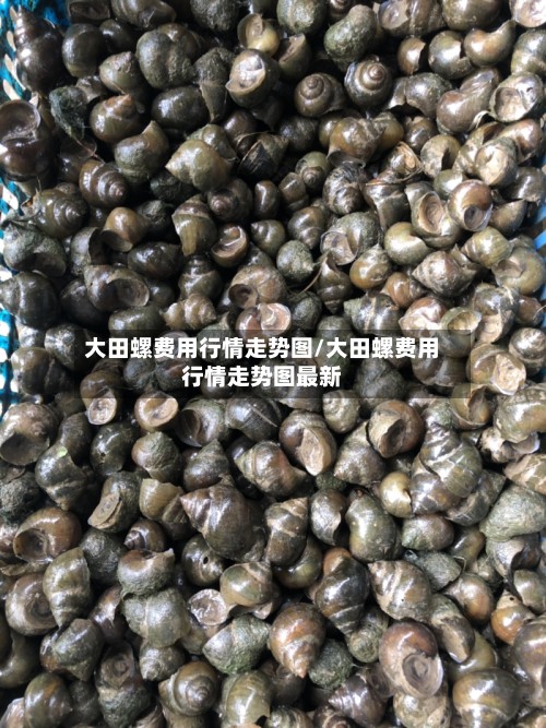 大田螺费用行情走势图/大田螺费用行情走势图最新-第2张图片