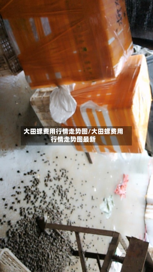 大田螺费用行情走势图/大田螺费用行情走势图最新