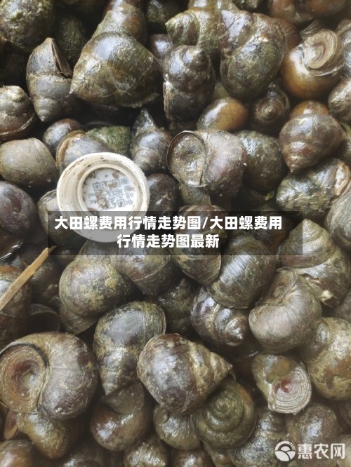大田螺费用行情走势图/大田螺费用行情走势图最新-第3张图片