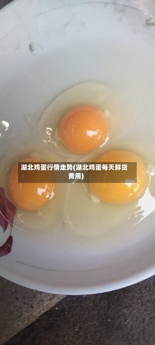 湖北鸡蛋行情走势(湖北鸡蛋每天鲜货费用)
