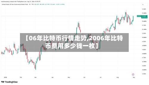 【06年比特币行情走势,2006年比特币费用多少钱一枚】-第3张图片