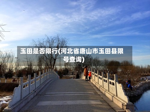 玉田是否限行(河北省唐山市玉田县限号查询)
