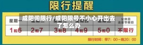 咸阳闯限行/咸阳限号不小心开出去了怎么办