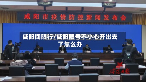 咸阳闯限行/咸阳限号不小心开出去了怎么办-第2张图片