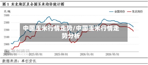 中国玉米行情走势/中国玉米行情走势分析