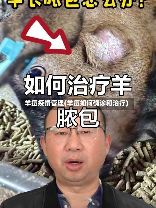 羊痘疫情管理(羊痘如何确诊和治疗)