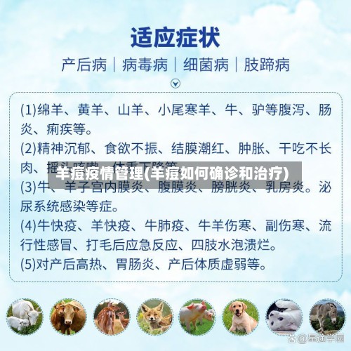 羊痘疫情管理(羊痘如何确诊和治疗)-第2张图片