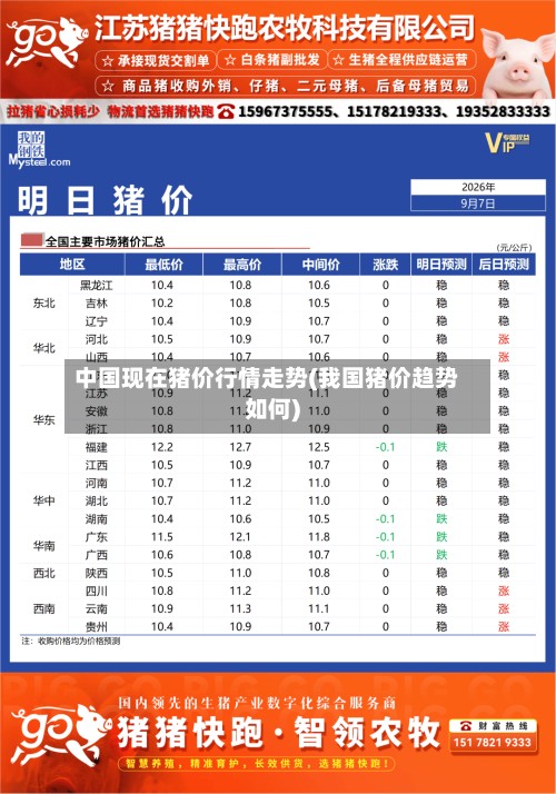 中国现在猪价行情走势(我国猪价趋势如何)-第2张图片