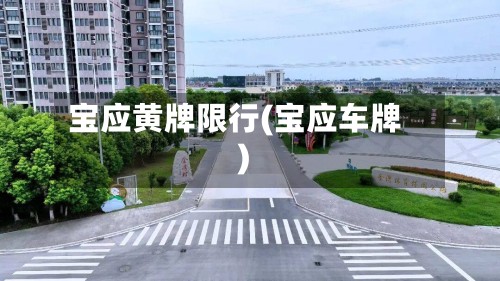 宝应黄牌限行(宝应车牌)