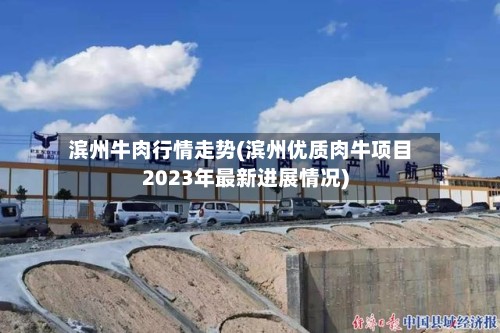 滨州牛肉行情走势(滨州优质肉牛项目2023年最新进展情况)-第2张图片
