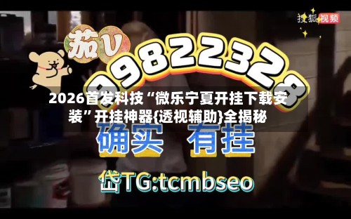 2026首发科技“微乐宁夏开挂下载安装”开挂神器{透视辅助}全揭秘