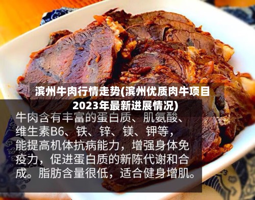 滨州牛肉行情走势(滨州优质肉牛项目2023年最新进展情况)