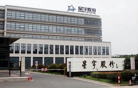 代价沉重，为省几百万	，星宇赴港上市果然遇阻，后悔也来不及了，给制造业敲响警钟